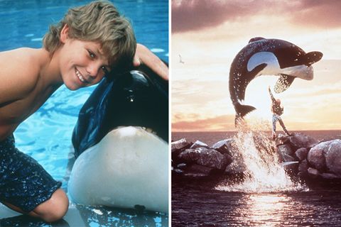 "Free Willy – Ruf der Freiheit": Was macht Kinderstar Jason James Richter heute?
