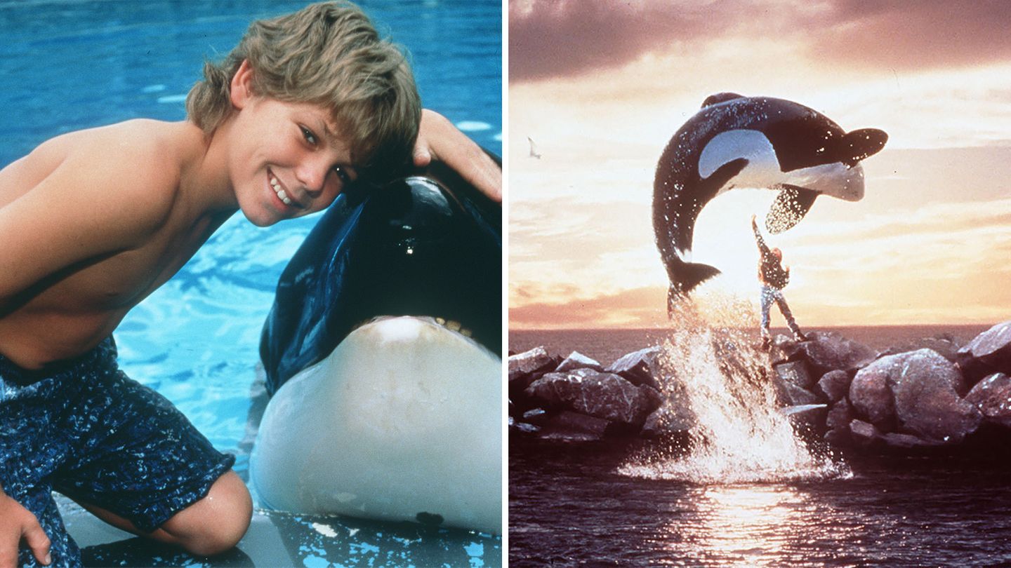 Ex-child star from "Free Willy": What is Jason James Richter doing today?