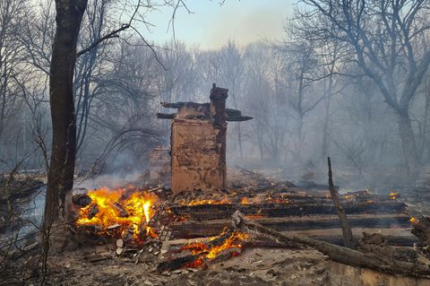 Waldbrand in der radioaktiv belasteten Sperrzone um das Kernkraftwerk Tschernobyl