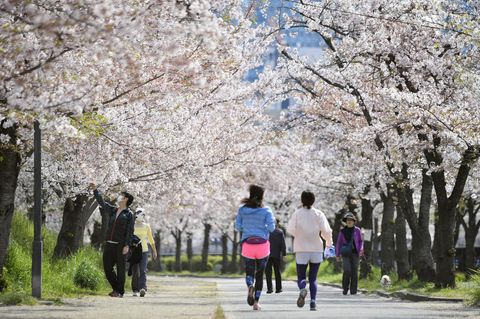Japan sträubte sich lange gegen strenge Regeln, um das Coronavirus einzudämmen.