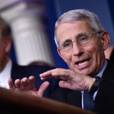 Der Virologe Anthony Fauci (r.). Im Hintergrund: US-Präsident Donald Trump.