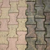 Putztipp: Moos, Flechten und Algen auf der Terrasse mit Soda entfernen