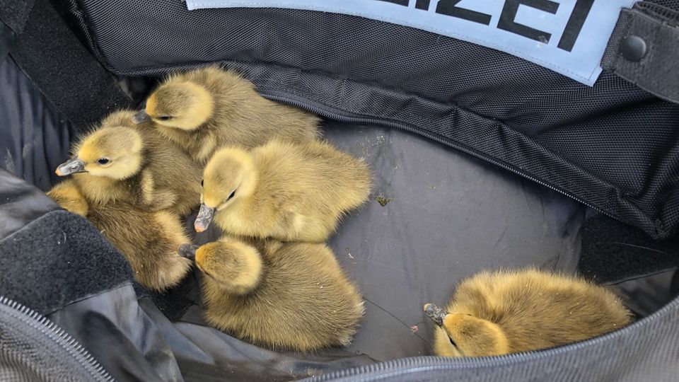 Nachrichten aus Deutschland Nachrichten aus Deutschland