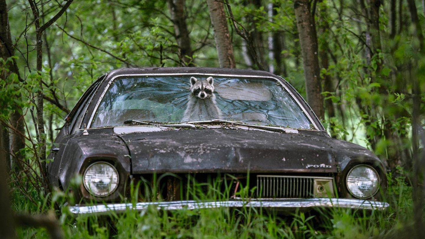 My Car is my Castle My Car is my Castle
