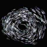 Wirbelsturm des Lebens