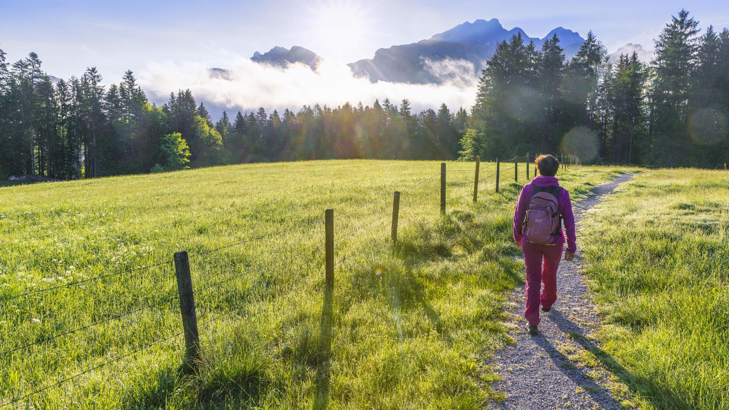 Weg zur Gelassenheit : Wie ich im Verzicht den Gewinn entdeckte – durch Corona Weg zur Gelassenheit : Wie ich im Verzicht den Gewinn entdeckte – durch Corona