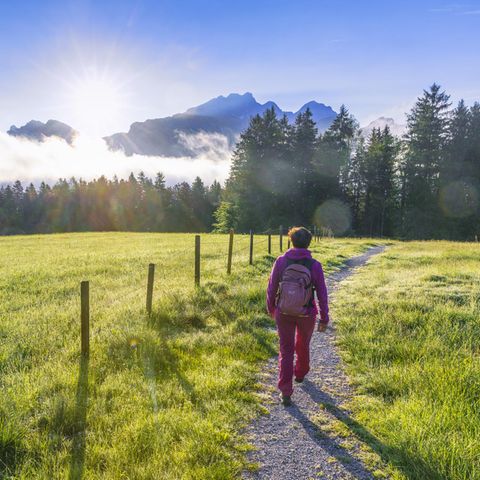 Weg zur Gelassenheit : Wie ich im Verzicht den Gewinn entdeckte – durch Corona