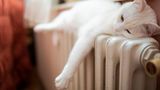 Soll jedes Zimmer einzeln temperiert werden?  Vor allem in Altbauten lohnt es sich, die Temperatur individuell einzustellen. Als Richtwerte gelten: Schlafzimmer 16 bis 18 Grad, Küche 18 bis 20 Grad, Kinderzimmer 20 Grad, Wohnzimmer 20 bis 22 Grad, Bad 23 Grad. Aber: Wer fröstelnd unter der Decke liegt, nur um Energie zu sparen, tut sich auch keinen Gefallen.  Bewertung  •Investition: keine  •Amortisation: sofort  •CO2-Einsparung: 150 kg pro Jahr, wenn die Temperatur eines 30-Quadratmeter-Zimmers von 22 auf 20 Grad gesenkt wird  •Aufwand: gering  Gesamturteil: ****
