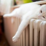 Soll jedes Zimmer einzeln temperiert werden?  Vor allem in Altbauten lohnt es sich, die Temperatur individuell einzustellen. Als Richtwerte gelten: Schlafzimmer 16 bis 18 Grad, Küche 18 bis 20 Grad, Kinderzimmer 20 Grad, Wohnzimmer 20 bis 22 Grad, Bad 23 Grad. Aber: Wer fröstelnd unter der Decke liegt, nur um Energie zu sparen, tut sich auch keinen Gefallen.  Bewertung  •Investition: keine  •Amortisation: sofort  •CO2-Einsparung: 150 kg pro Jahr, wenn die Temperatur eines 30-Quadratmeter-Zimmers von 22 auf 20 Grad gesenkt wird  •Aufwand: gering  Gesamturteil: ****