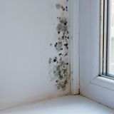 Soll man die Heizung vor dem Verlassen der Wohnung herunterdrehen, oder zieht dann der Schimmel ein?  Schimmelgefahr droht, wenn die Wände unter 16 Grad abkühlen. Ansonsten lässt sich durch das Absenken der Temperatur ohne großen Aufwand Energie sparen. Bei einer älteren Ölheizung ist der Spareffekt am größten: Wer die Raumtemperatur tagsüber um vier Grad senkt, zum Beispiel von 20 auf 16 Grad, spart bis zu zehn Prozent Heizkosten. Noch besser: Man tauscht die alten Ventile gegen elektronisch geregelte, programmierbare Ventile. Mit diesen Mini-Computern lassen sich Zeit und Temperatur für jeden Raum individuell einstellen.  Bewertung  •Investition: keine/programmierbare Ventile zwischen 30 bis 120 Euro pro Stück  •Amortisation: mit der nächsten Heizkostenabrechnung/nach wenigen Jahren  •CO2-Einsparung: bei einer 80-Quadratmeter-Wohnung 270 kg (Gasheizung) bis 370 kg (Ölheizung) pro Jahr  •Aufwand: gering  Gesamturteil: ****