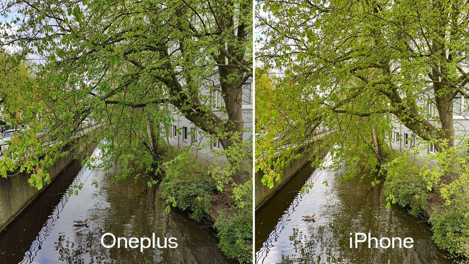 Neues Smartphone: Bei Tag macht das Oneplus 8 Pro sehr detailreiche, farbechte Fotos. Das iPhone 11 Pro (rechts) wirkt im Vergleich etwas wärmer Bei Tag macht das Oneplus 8 Pro sehr detailreiche, farbechte Fotos. Das iPhone 11 Pro (rechts) wirkt im Vergleich etwas wärmer
