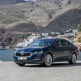 Skoda Octavia Limousine 2020