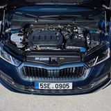 Skoda Octavia Limousine 2020