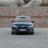 Skoda Octavia Limousine 2020