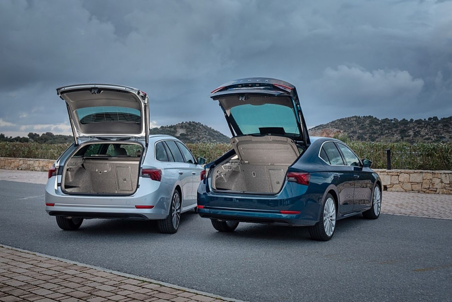 Skoda Octavia Limousine 2020