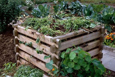 Kompost richtig anlegen: Ein mit Gartenabfällen gefüllter Kompost