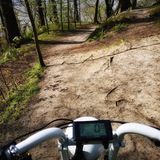 Soviel Gelände schafft das Rad auch im Sitzen - im Stehen ist mehr drin. Wenn man es kann.