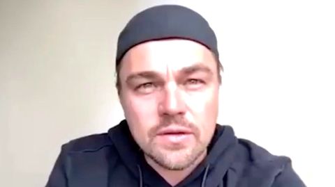 Leonardo Dicaprio Alle Regen Sich Uber Dieses Alte Foto Auf Stern De