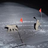 Siegerfoto in der Kategorie "Umwelt": Eisbärenmutter und -junges betrachten auf einer Eisscholle Flaggen und Ausrüstung neben dem deutschen Forschungsschiff "Polarstern". Titel ": Polar Bear and her Cub".
