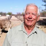 "Bauer sucht Frau International"