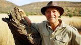 "Bauer sucht Frau International"