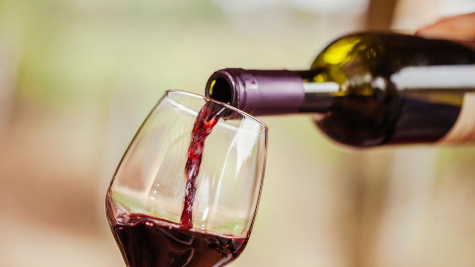 Vinum Weinguide: Die diesjährigen Spitzenweine seien schon jetzt "beste Botschafter deutschen Winzerhandwerks", schreibt der Vinum Weinguide.