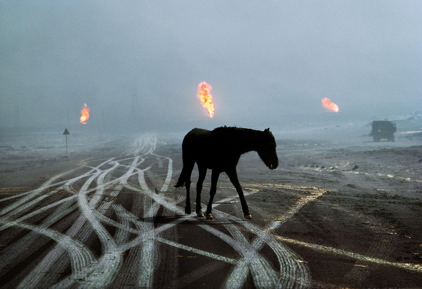 Steve McCurry "Animals" Ein einsames Pferd geht langsam über ein Ölfeld