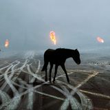 Ein einsames Pferd geht langsam über ein Ölfeld