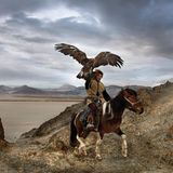 Einer Reiter mit einem riesigen Adler auf der Schulter