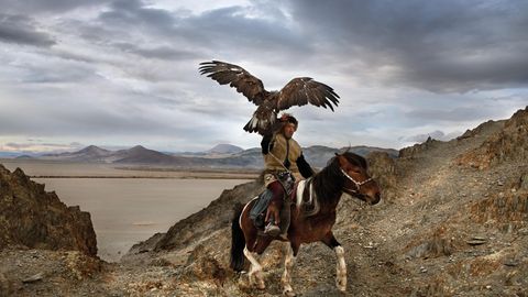 Einer Reiter mit einem riesigen Adler auf der Schulter