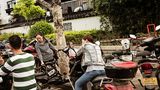 Auf den Straßen von China 2018
