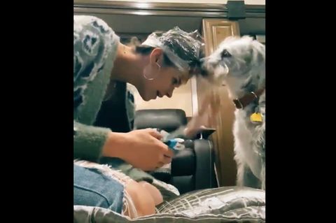 Video in sozialen Netzwerken: Erdnussbutter-Trick: So schneidet man Hunden ganz einfach die Krallen