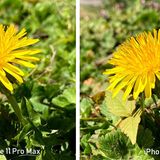 Beide Fotos wurden im normalen Fotomodus aufgenommen. Sie sind detailreich und kontraststark. Bei Tageslicht ist das iPhone SE weitgehend auf Augenhöhe mit dem iPhone 11 Pro Max.