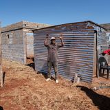 Die "Roten Ameisen" bedrohen und vertreiben einen Bewohner von Lakeview