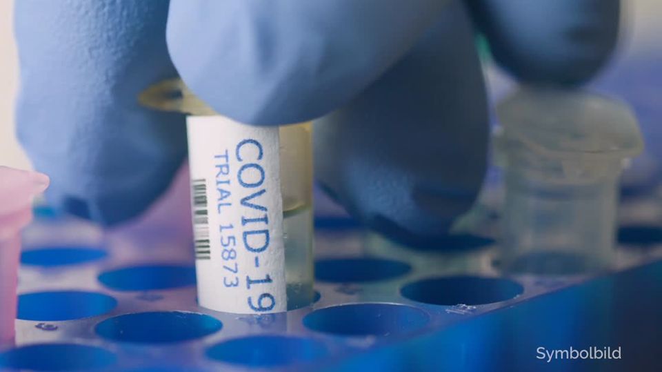 Finger in einem blauen Handschug greifen eine Plastik-Ampulle mit "Covid-19"-Beschriftung aus einem blauen Halter Finger in einem blauen Handschug greifen eine Plastik-Ampulle mit "Covid-19"-Beschriftung aus einem blauen Halter
