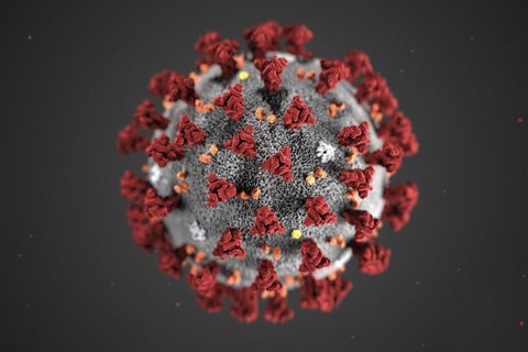 Illustration des Coronavirus Sars-CoV-2
