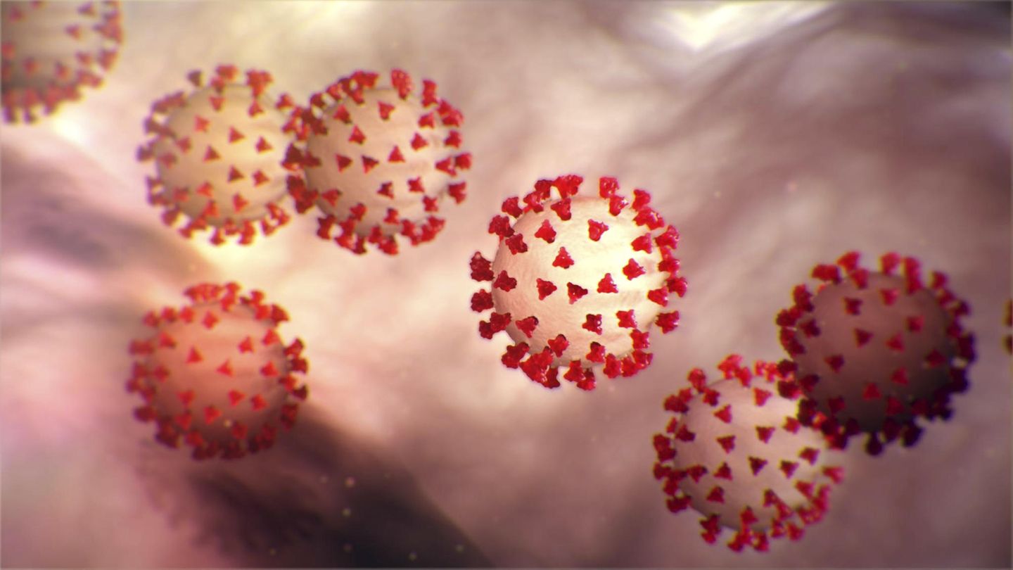 Coronavirus Sars-CoV-2