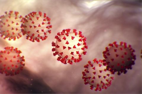 Coronavirus Sars-CoV-2