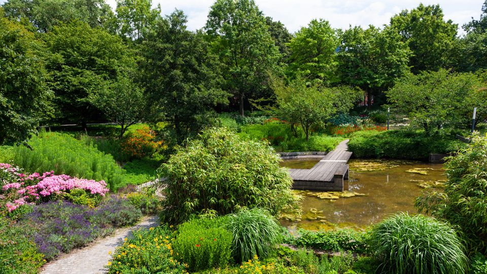 Planten un Blomen Ein menschenleerer Teil des Parkes Planten un Blomen