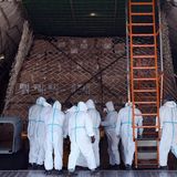 Die Antonow ist nach Angaben des Flughafens bereits zum 28. Mal in Leipzig zu Gast. Hinter der Leiter zum Cockpit sind die Kartons mit 10.330.000 Schutzmasken bis zur Decke verstaut