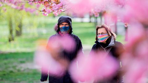 Zwei Frauen mit farbigen Mundschutzen gehen unter blühenden Kirschbäume