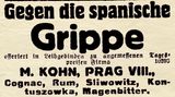 Reklame für Spirituosen gegen die Grippe, erschienen im "Prager Tagblatt" vom 20. Oktober 1918. Im Kampf gegen den Erreger wurden teils kuriose Mittel angepriesen.