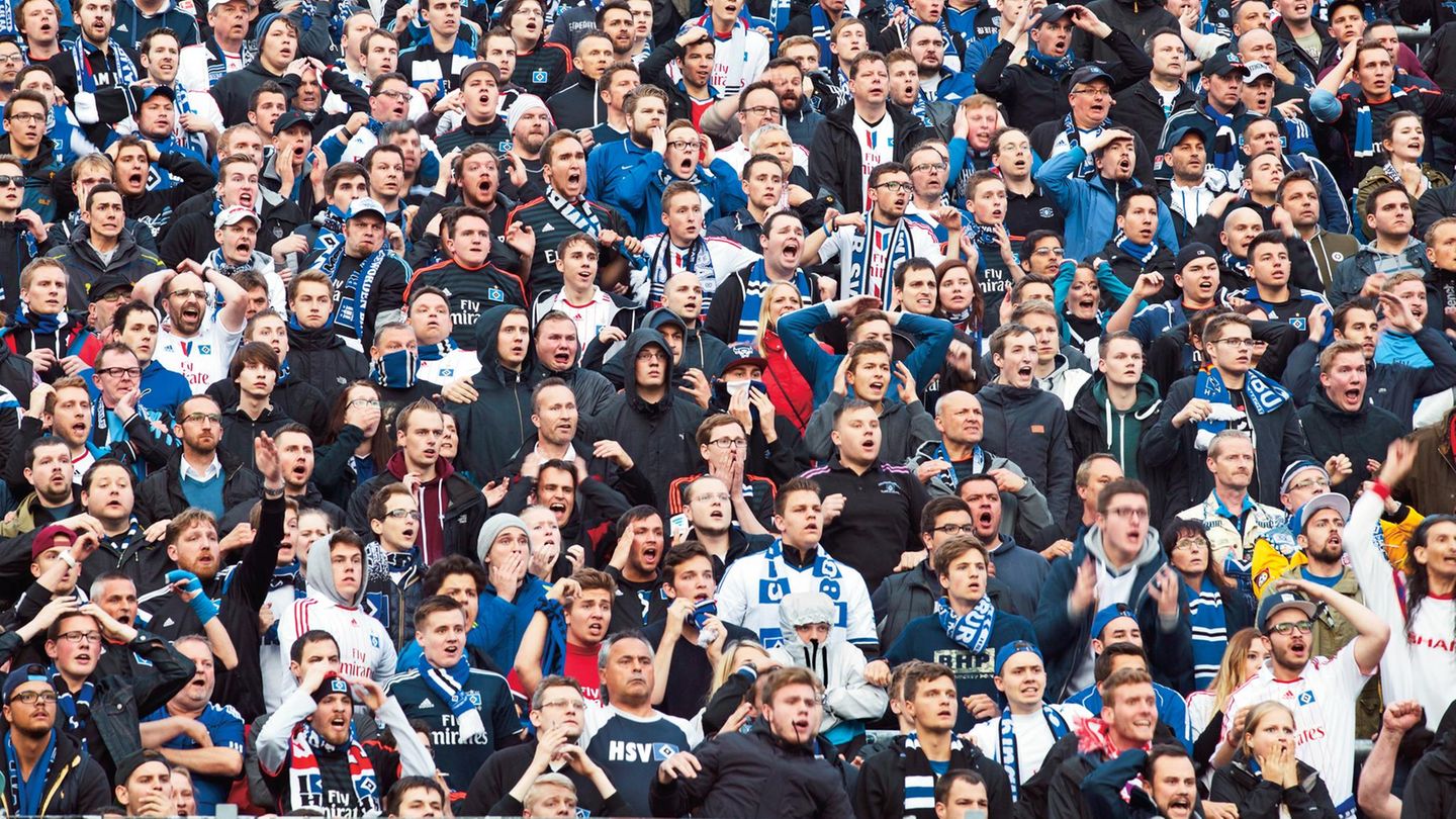Fans des HSV verfolgen ein Spiel