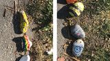 Viele Kinder beteiligen sich an der Aktion