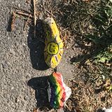 Viele Kinder beteiligen sich an der Aktion