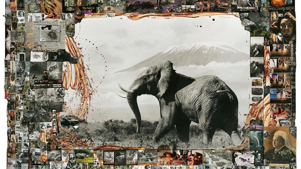 Collage: In der Mitte ein Elefant vor dem Kilimanjaro