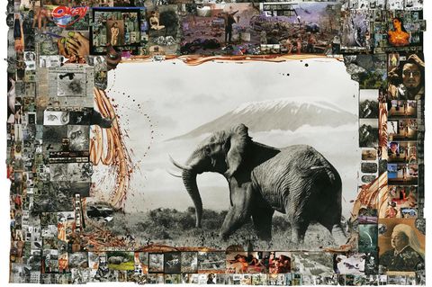 Collage: In der Mitte ein Elefant vor dem Kilimanjaro