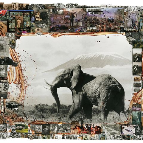 Collage: In der Mitte ein Elefant vor dem Kilimanjaro