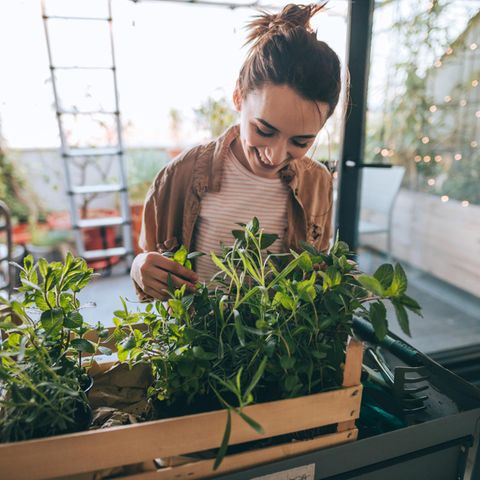 10 Tipps für Nachhaltigkeit : Etwas nachhaltiger leben? Das ist gar nicht so schwer – mit diesen zehn Tipps für den Alltag