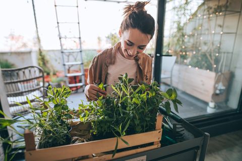 10 Tipps für Nachhaltigkeit : Etwas nachhaltiger leben? Das ist gar nicht so schwer – mit diesen zehn Tipps für den Alltag